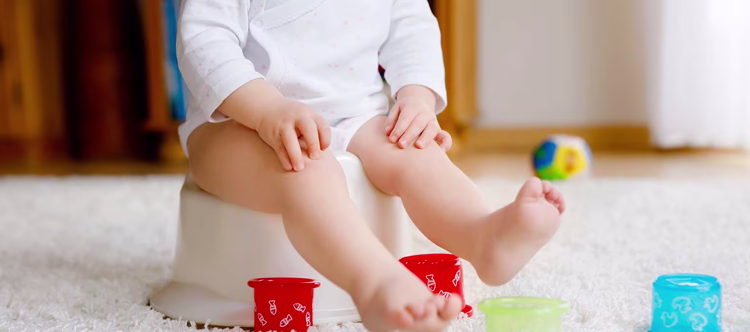 Cuándo comenzar el entrenamiento para ir al baño