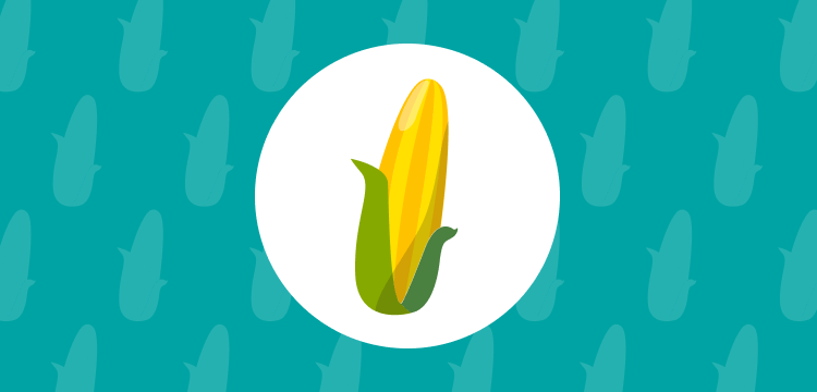 ear of corn