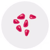 pomegranate seed