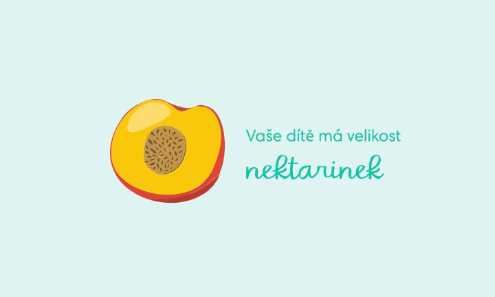 pregnancy-week-by-week-week-14