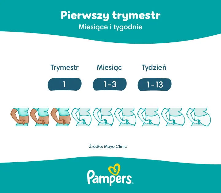 Pierwszy trymestr ciąży: tygodnie i miesiące - jak rośnie brzuch w pierwszym trymestrze? Pierwszy trymestr ciąży: tygodnie i miesiące - jak rośnie brzuch w pierwszym trymestrze?