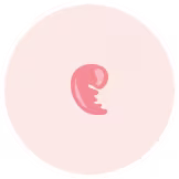 2 month pregnant