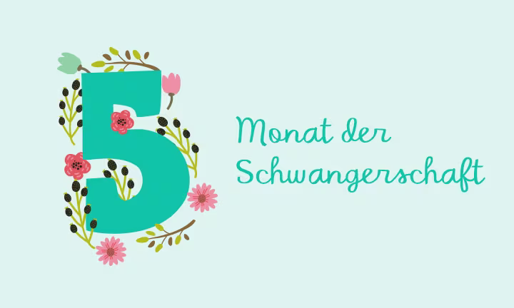 5. Monat der Schwangerschaft