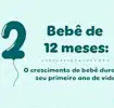 12 meses do bebê