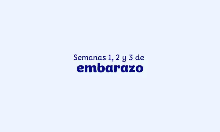 primeras semanas de embarazo