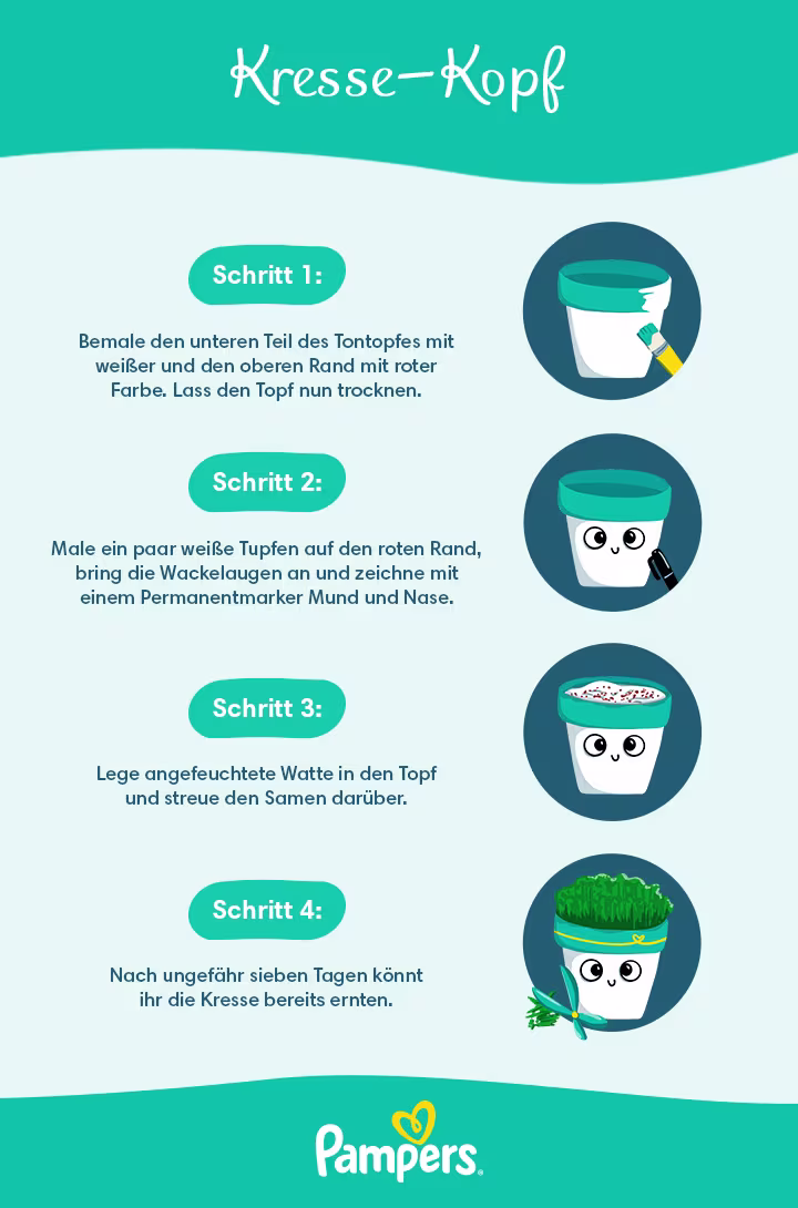 Infografik: Kresse-Kopf selber machen