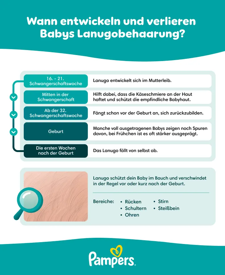 DE Lanugo - Infographic - Dec 25 DE Lanugo - Infographic - Desktop - Dec 25