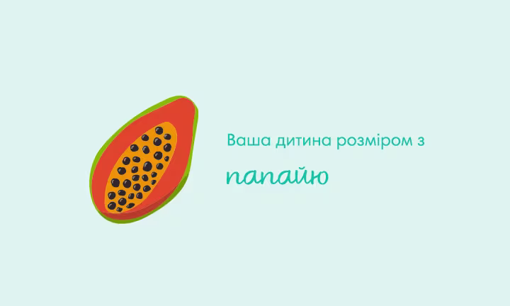 pregnancy-week-by-week-week-22