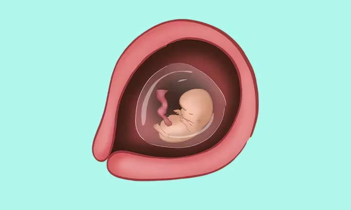 Fatal Development Week by Week 9