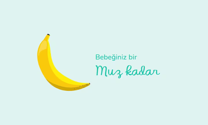 Your baby is the size of a banana