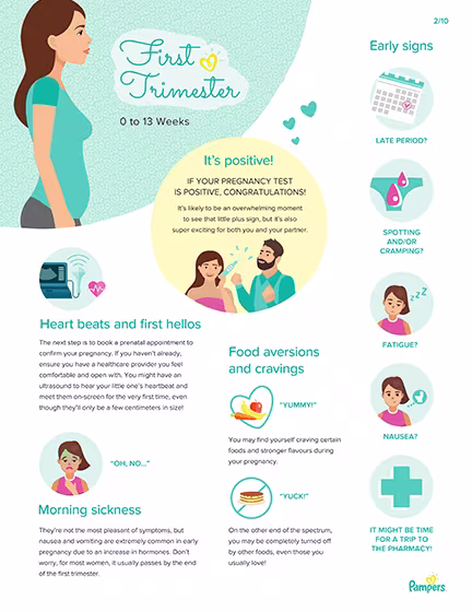 Pregnancy Milestones
