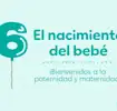 El sexto mes del bebé