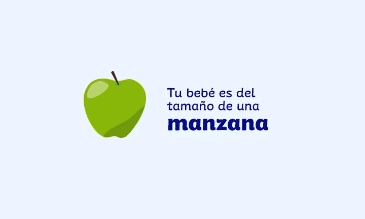 Semana 16 de embarazo