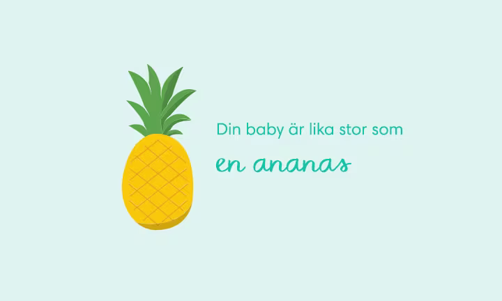 Week 33 pregnancy