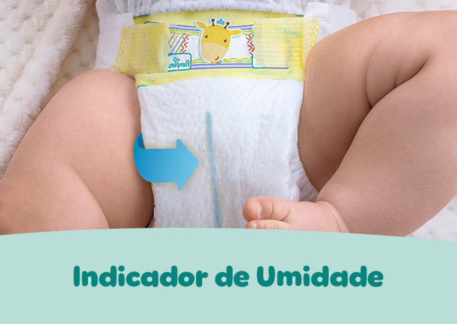Indicador De Umidade
