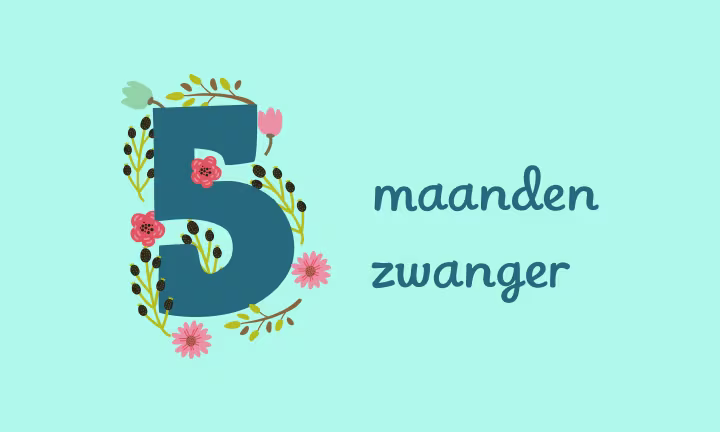5 maanden zwanger