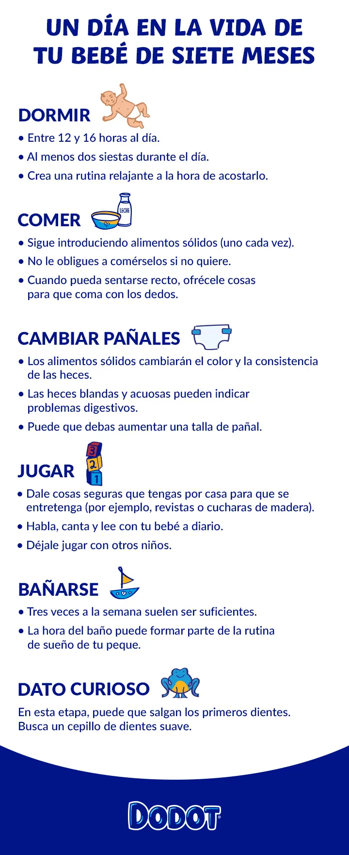 ES Dodot 7 month old Daily Routine 720 20240403