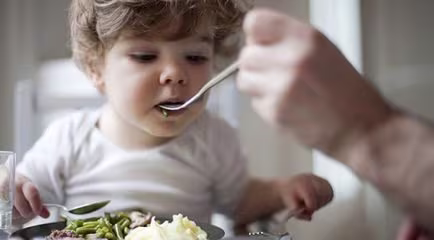 Comidas saludables para tu bebé