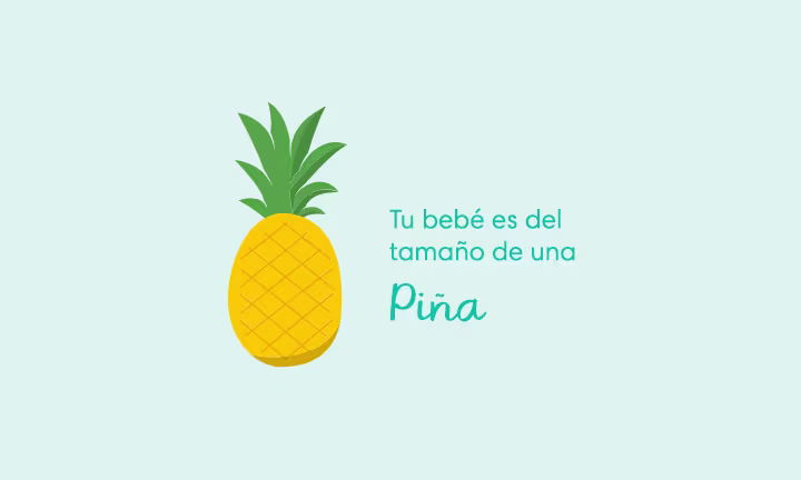 Tu bebé es del tamaño de una piña