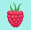 Raspberry icon