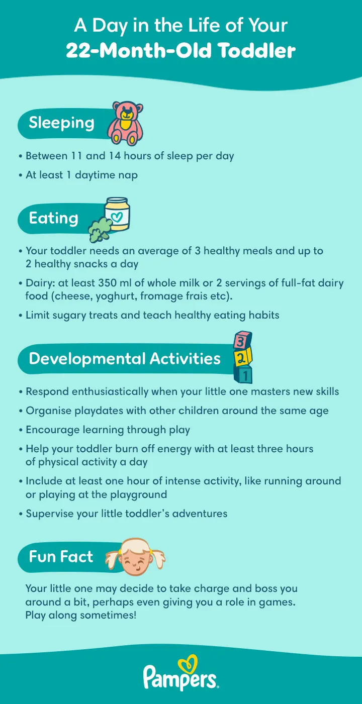 22-Month-Old Toddler Daily Routine 22-Month-Old Toddler Daily Routine