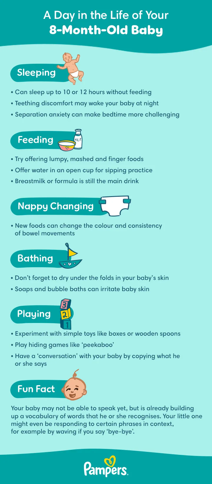 A Day in the Life of Your 8-Month-Old Baby A Day in the Life of Your 8-Month-Old Baby