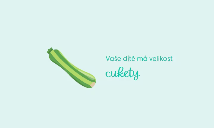 pregnancy-week-by-week-week-26