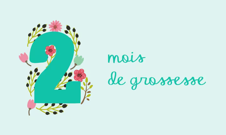 Icône 2ème mois de grossesse – formation des organes du fœtus et nausées matinales