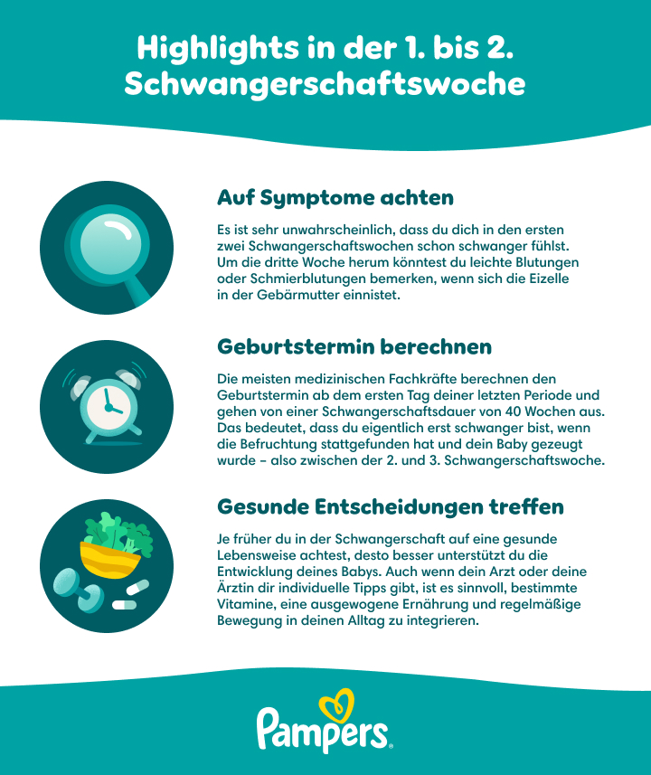 aquarium pflanztöpfe Bucen-Box