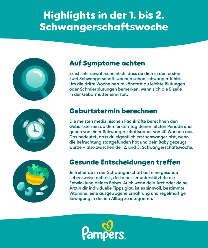 Highlights in den ersten zwei Wochen der Schwangerschaft