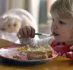child-friendly-food