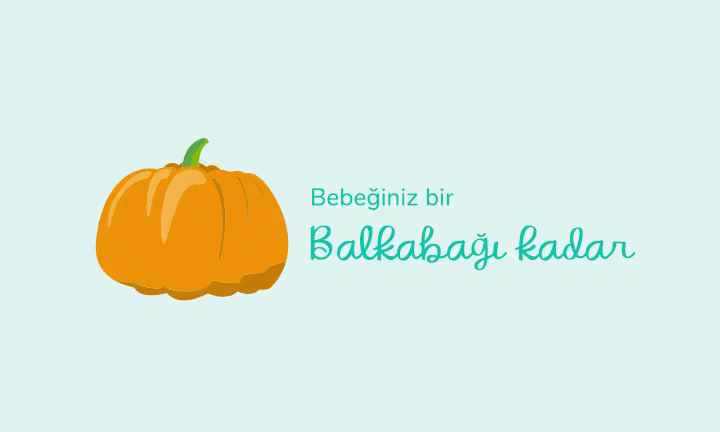 Your baby is the size of a pumpkin