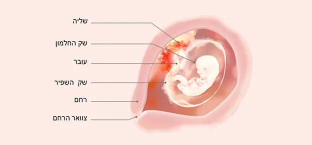 Article Content Image week8 8