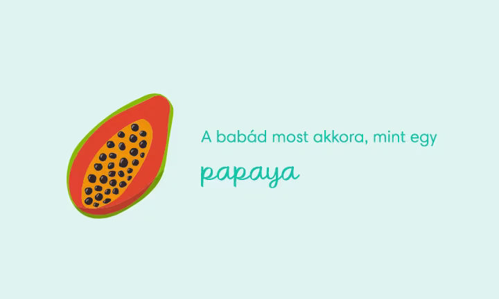 pregnancy-week-by-week-week-22