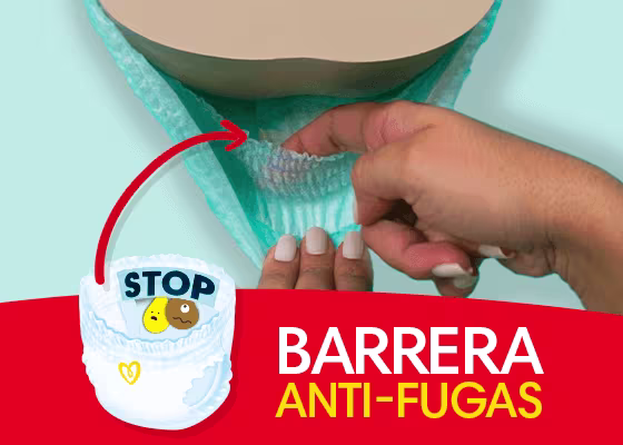 Barrera Anti fugas