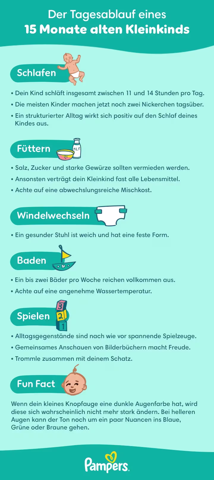 Tagesablauf 15. Monat