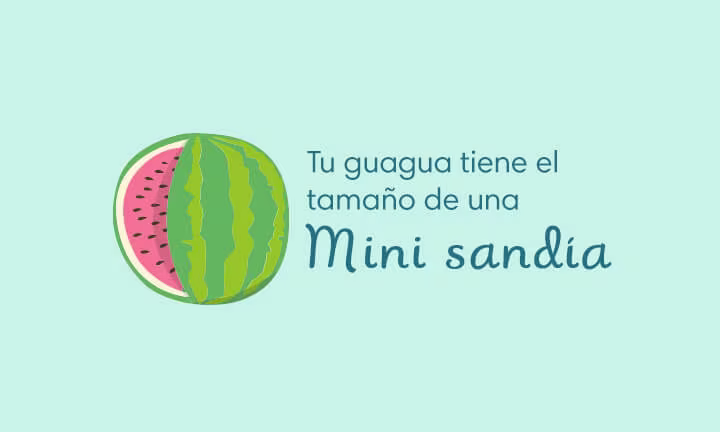 Desarrollo de las 39 semanas de embarazo