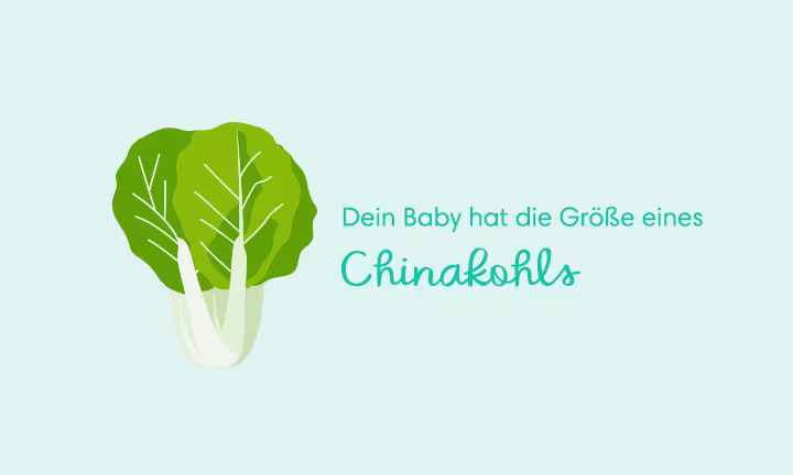 Die 32. Schwangerschaftswoche (32. SSW)