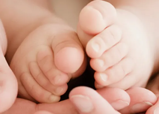 D BENEFITS Module2 560x400