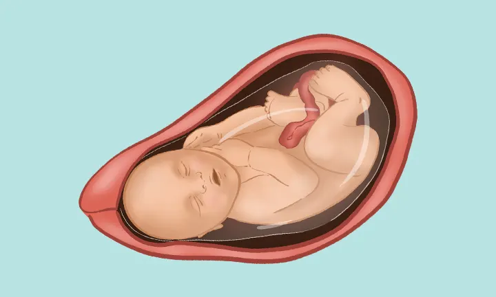 40. Schwangerschaftswoche - Lage & Größe Baby in der 40. Schwangerschaftswoche