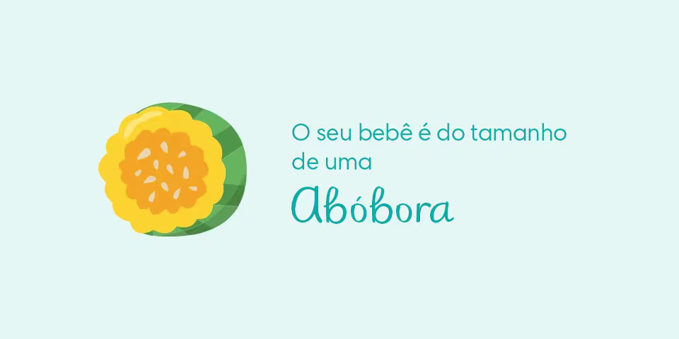 Your baby is the size of an acorn squash