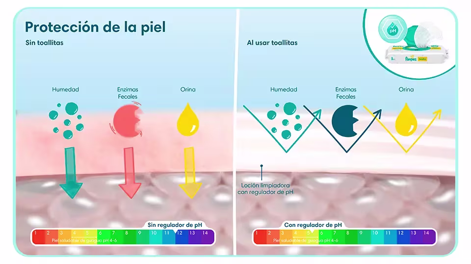 Ventajas y desventajas de usar o no toallitas húmedas para la protección de la piel de una guagua | Pampers® Chile