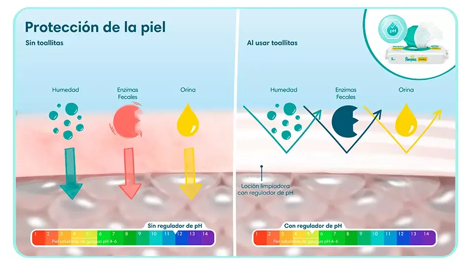 Ventajas y desventajas de usar o no toallitas húmedas para la protección de la piel de una guagua | Pampers® Chile Ventajas y desventajas de usar o no toallitas húmedas para la protección de la piel de una guagua