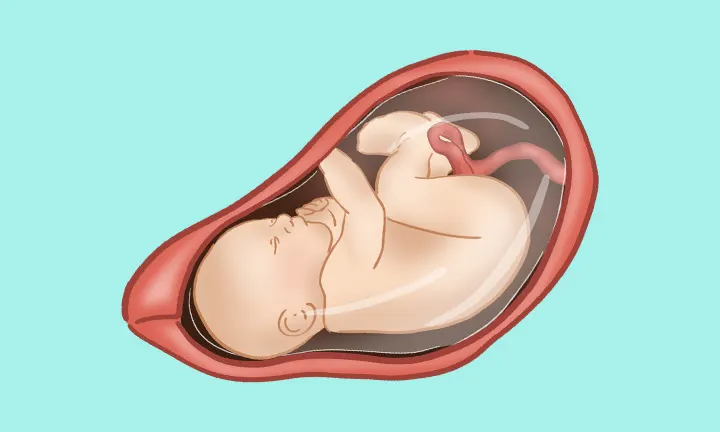 妊娠38週目 妊娠38週目