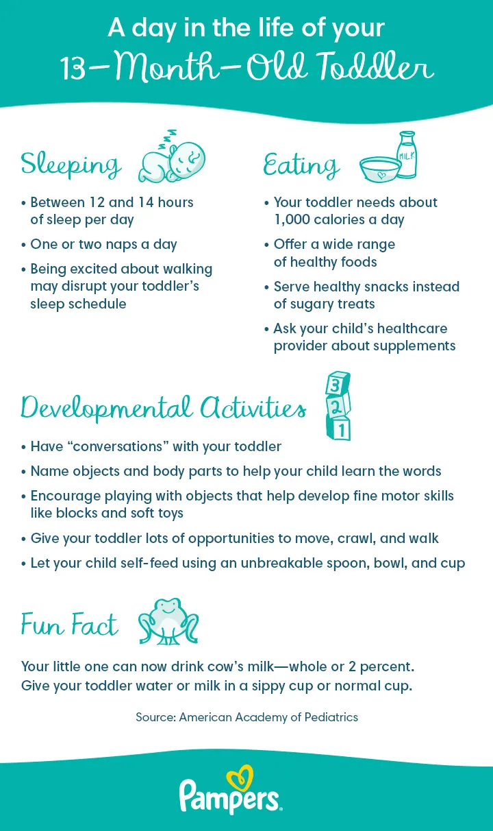 A Day in the Life of Your 13-Month-Old Toddler A Day in the Life of Your 13-Month-Old Toddler