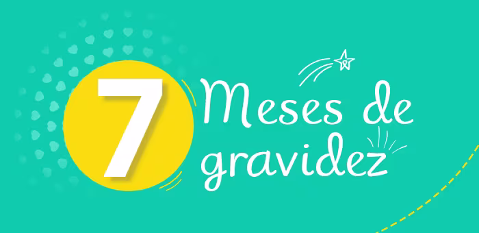 7º mês de gravidez: sintomas e o que acontece com o feto | Pampers®