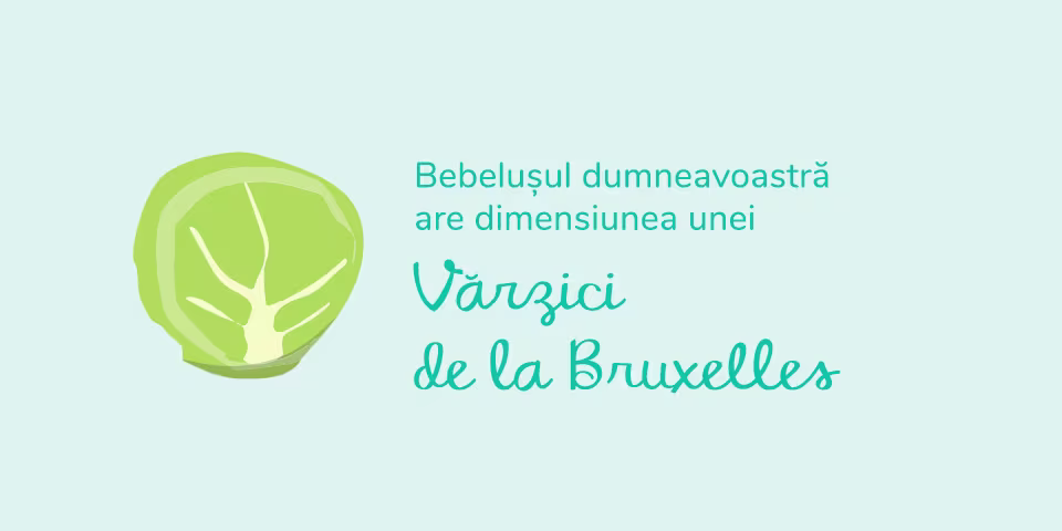 pregnancy-week-by-week-week-11