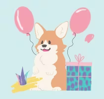 Wesołe pieski corgi
