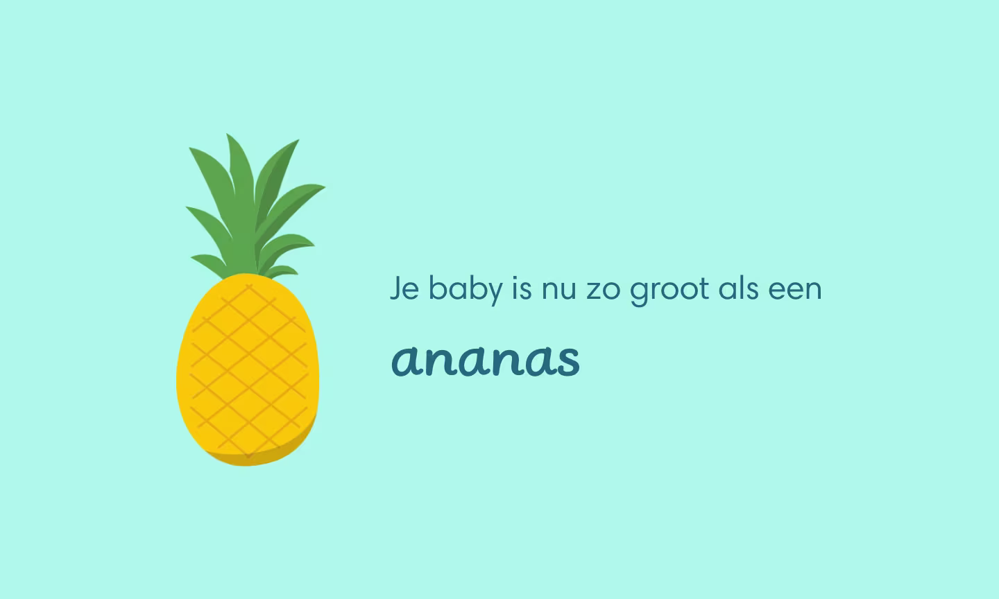 Je baby is nu zo groot als een ananas