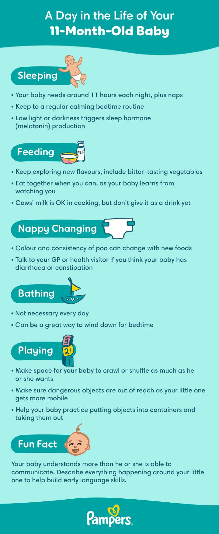 A Day in the Life of Your 11-Month-Old Baby A Day in the Life of Your 11-Month-Old Baby